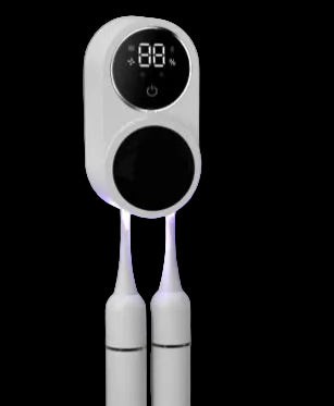 Tooth Brush Holder Sanitizer